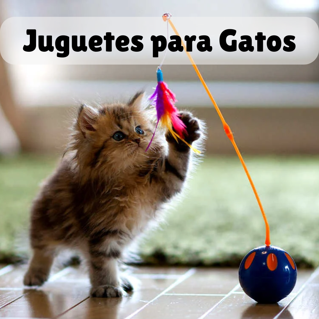 Juguetes para Gatos 🎏