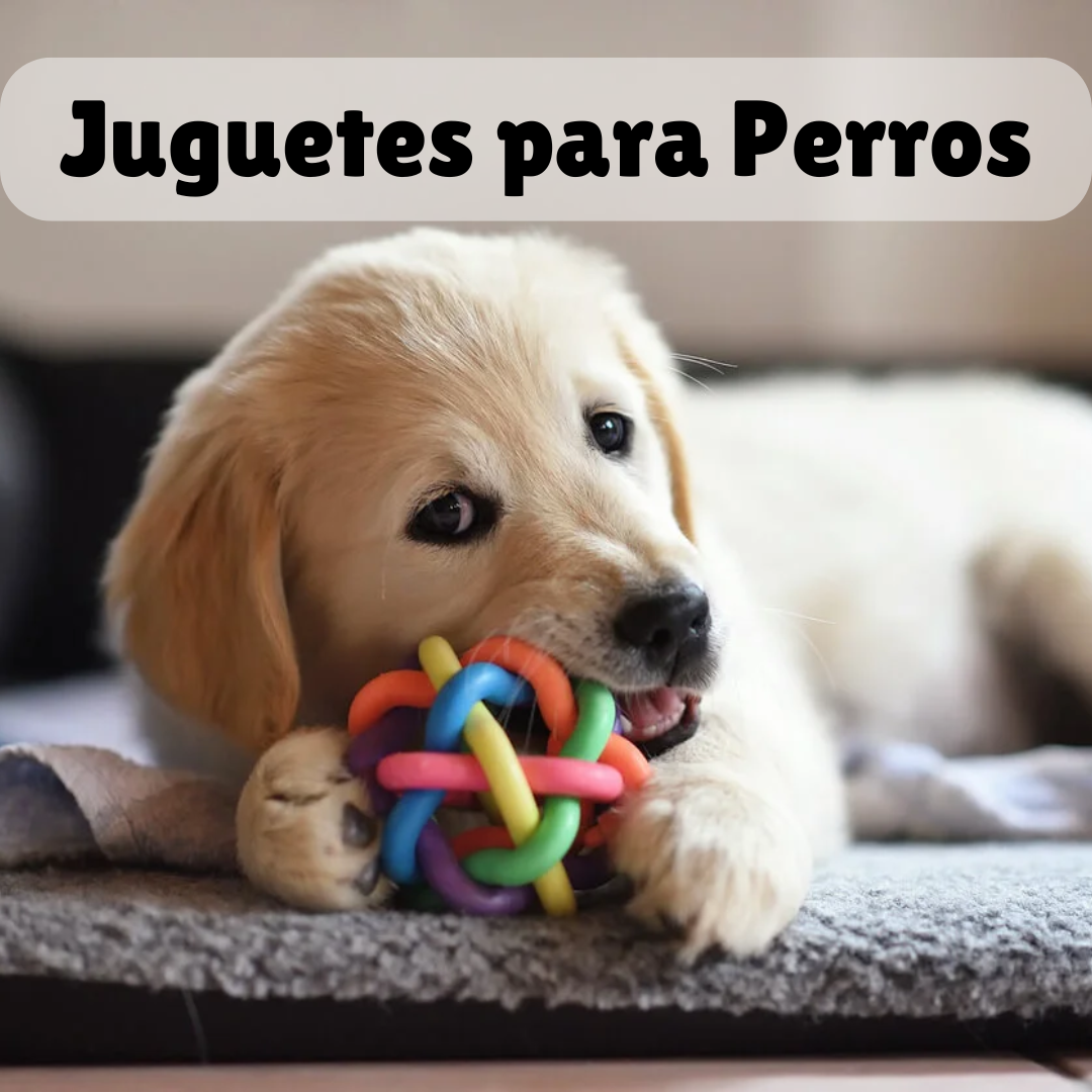 Juguetes para Perros 🦴